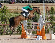 GOVONI WINN WINN CampITA2013- S5 9010 : Campionati Italiani 2013, Cattolica, GOVONI GIANNI, Horse Riviera Resort, WINN WINN, foto di Stefano Secchi ©